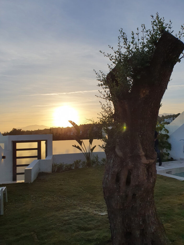 Вилла/Шале — Marbella
