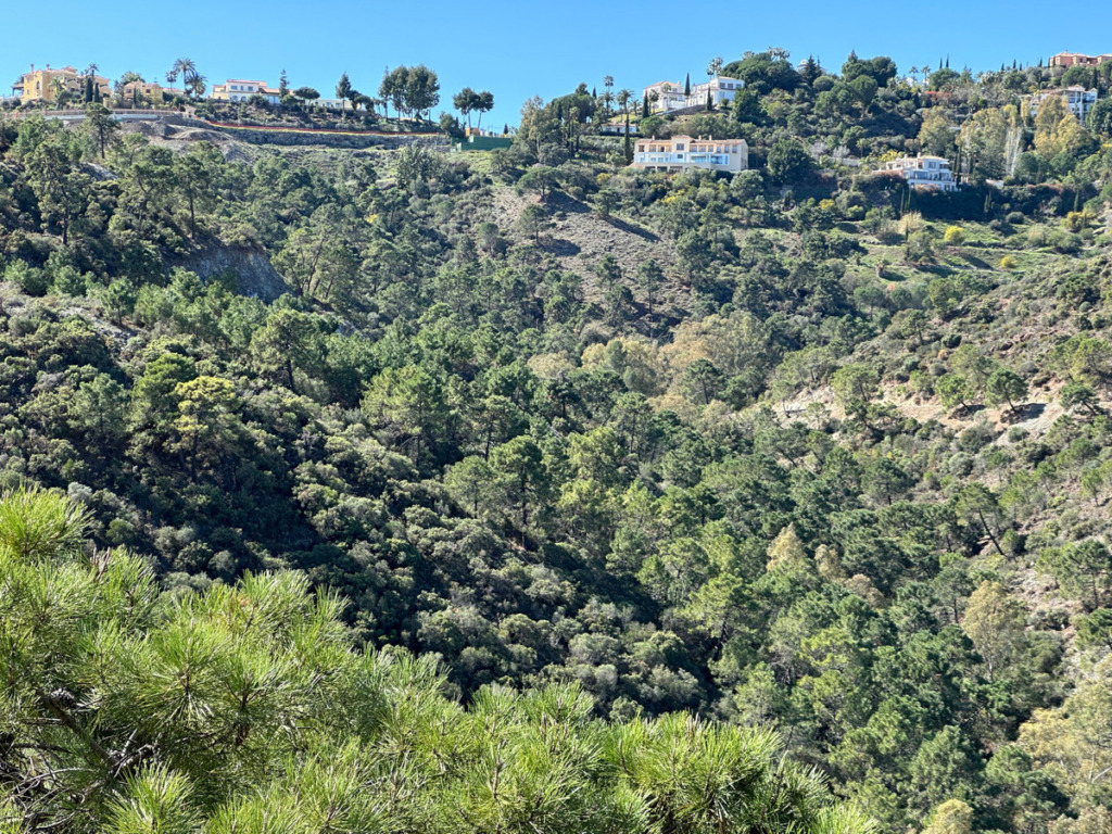 Detached Villa — El Madroñal