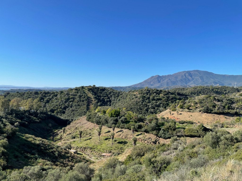 Land — Estepona