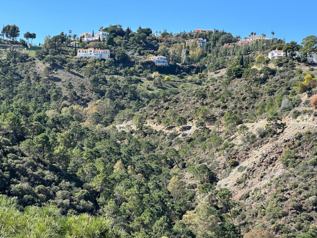 Detached Villa — El Madroñal