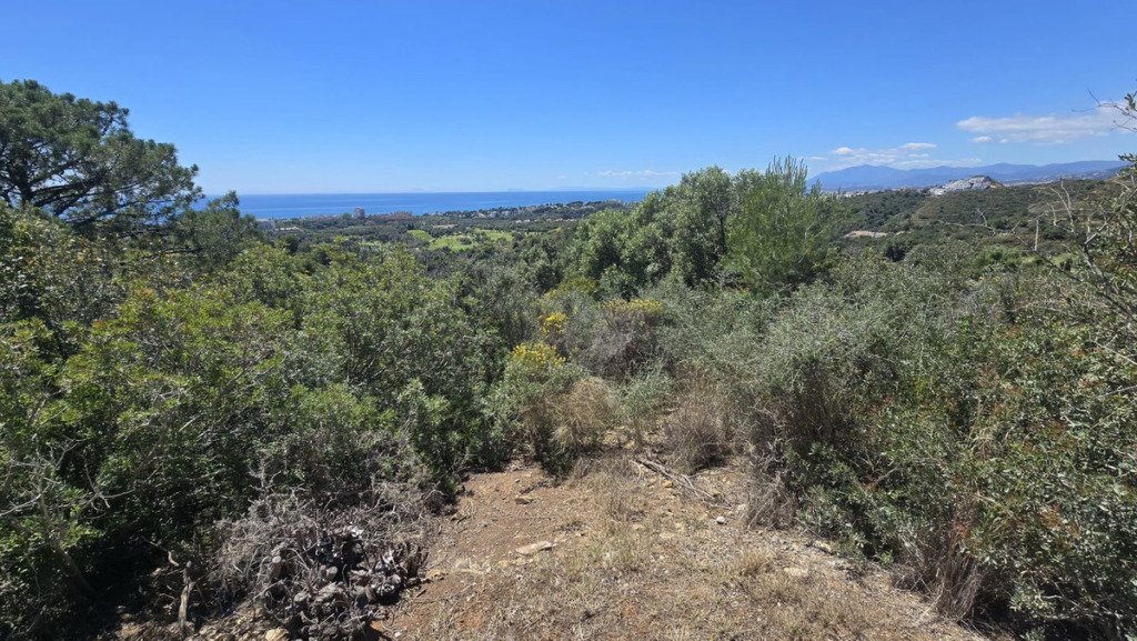 Detached Villa — El Rosario