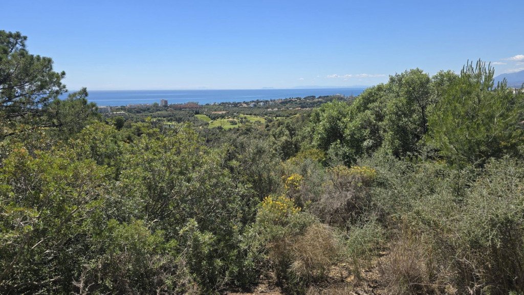 Detached Villa — El Rosario