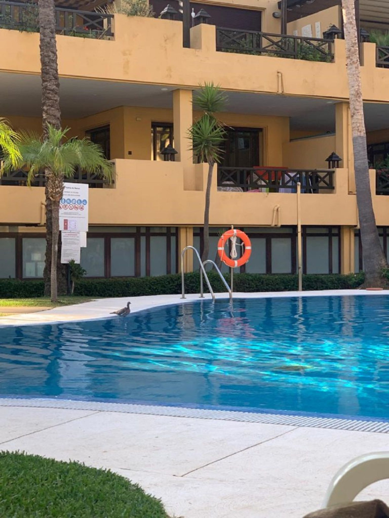 Ático Dúplex — Puerto Banús