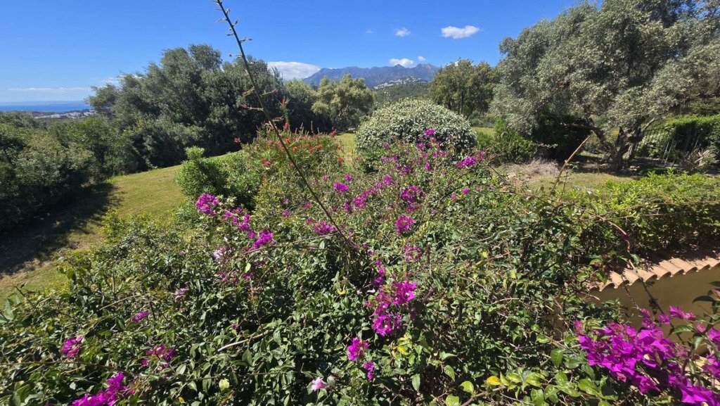 Detached Villa — El Rosario