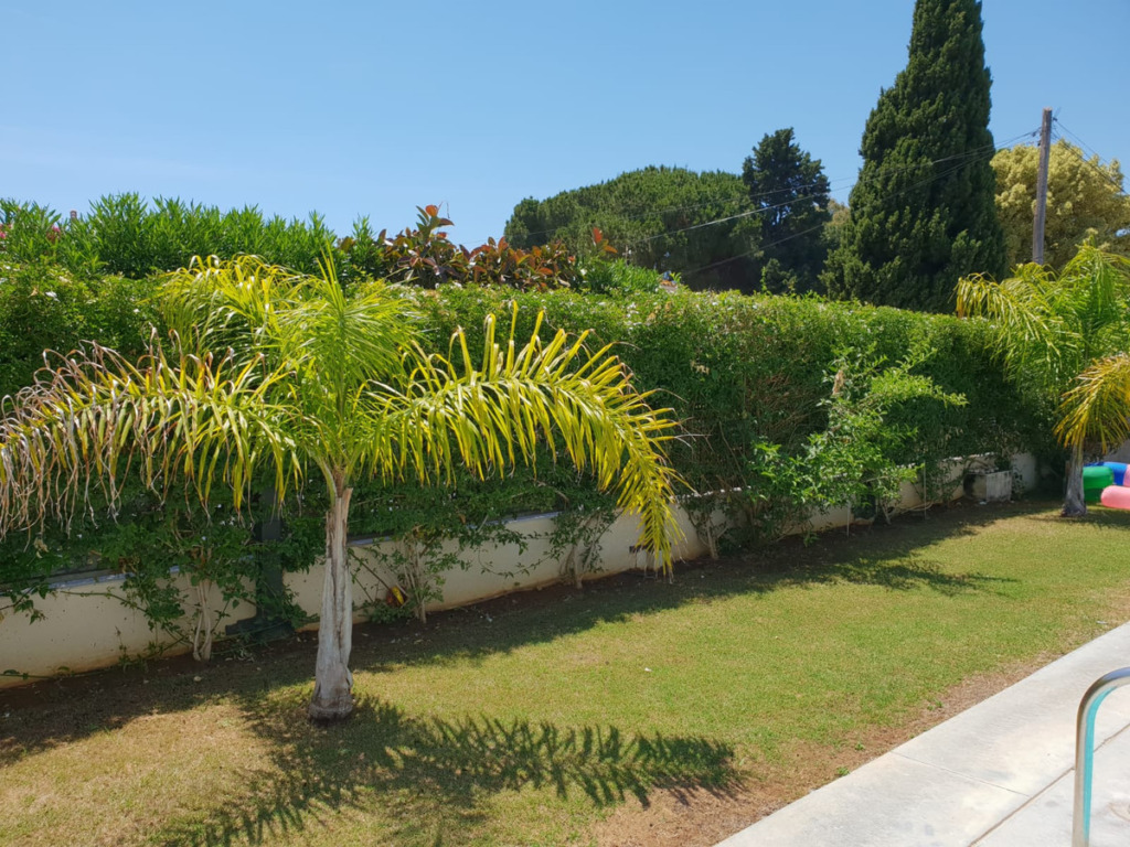 Detached Villa — San Pedro de Alcántara