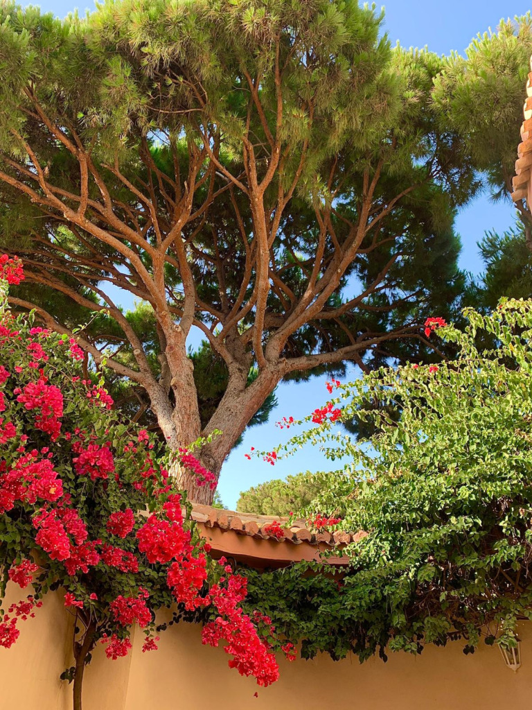Detached Villa — Calahonda