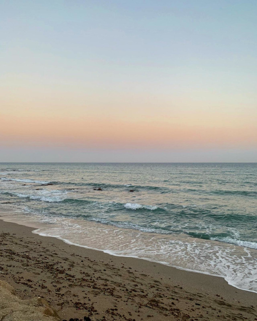 Detached Villa — Calahonda