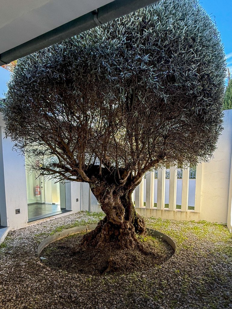 Villa – Chalet — Nueva Andalucía