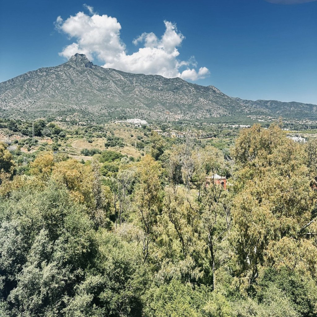 Detached Villa — The Golden Mile